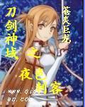 刀剑神域之暗影刺客