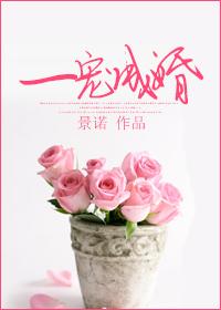 一宠成婚txt