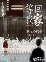 等我回家谁的歌