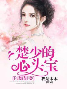 男主角叫楚少霆