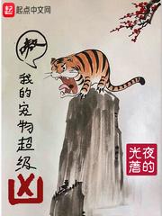 我的宠物都超神了百度百科
