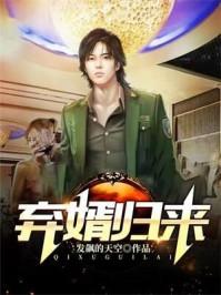 弃婿归来拒退婚