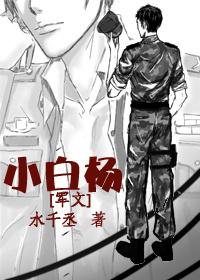 小白杨讲的什么