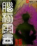 脑核风暴TXT