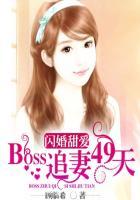 闪婚甜妻宠上天全文阅读
