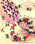 赵沐阳的文玩人生txt百度