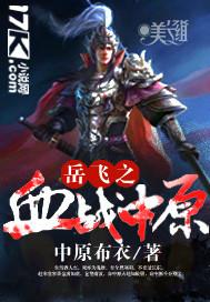 岳飞战斗