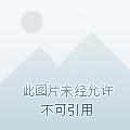 穿成炮灰反派后