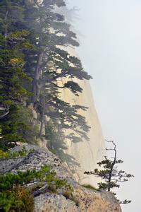 东流春水