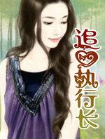 追爱n计划在线阅读