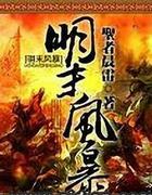 明末风暴百科