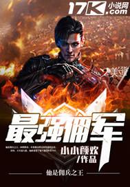 最强佣兵系统全文阅读