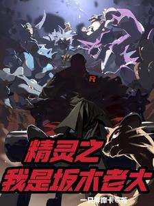 神奇宝贝之坂木是我师傅