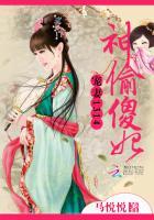 神偷宠妃免费阅读