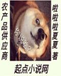 农产品供应链怎么做
