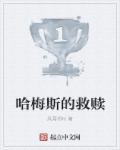 哈梅斯塔西亚