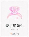 好奇爱上猫