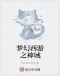 梦幻西游神域披风