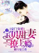 豪门宝贝老婆笔下文学