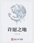 许愿石在哪