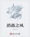 消逝之都怎么过