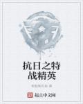 抗日之特战精英免费阅读