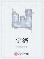 宁洛高速和盐洛高速的区别