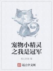 宠物小精灵之冠军