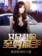 女总裁的至尊感受