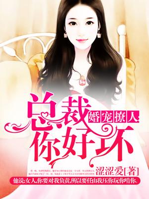 总裁你好坏电视剧