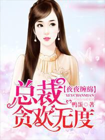 总裁夜夜缠上门