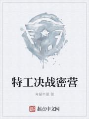 特工密令第12关