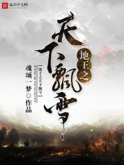 固无足以定天下而王之